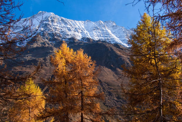 La vallée de Lötschental