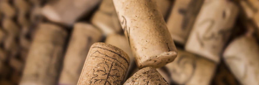 Ne le jetez plus&nbsp;: pourquoi un bouchon de li&egrave;ge dans le frigo fera des merveilles