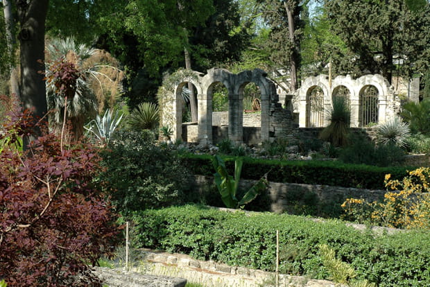 Le jardin des plantes de Montpellier, le plus ancien jardin botanique