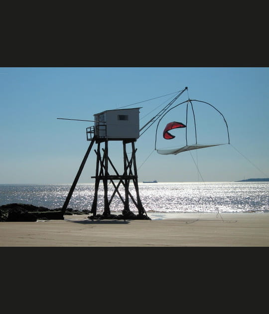 Un kite pris dans les filets