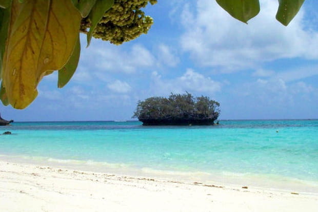 Petit coin de paradis