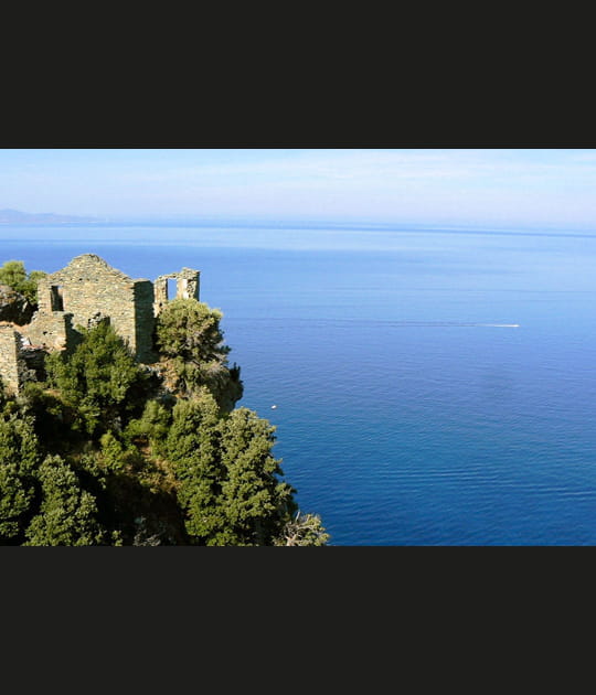 La grande bleue en Corse