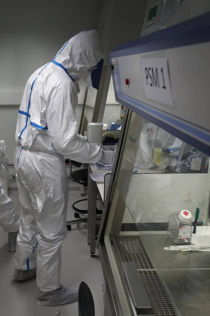Cap sur un antiviral pan-coronavirus&nbsp;!