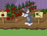 Tom et Jerry Show