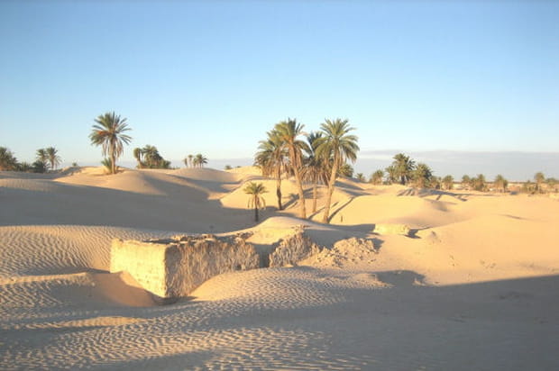 Douz, les portes du Sahara