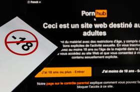 Pornhub, YouPorn et Redtube&nbsp;: la justice annonce la r&eacute;ouverture des sites contre l'avis du Gouvernement