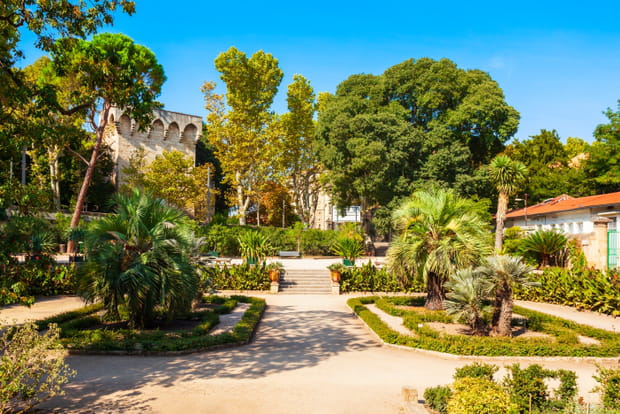 Le jardin des Plantes de Montpellier