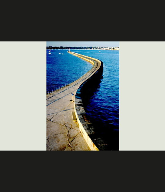 Serpent de mer