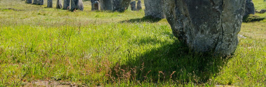 Quelle est l'origine des m&eacute;galithes de Carnac&nbsp;? Les chercheurs ont deux hypoth&egrave;ses viables