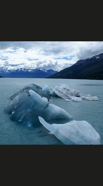 &quot;Le changement climatique, c'est un canular &quot;