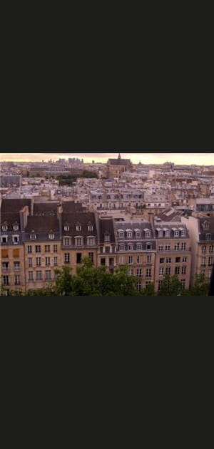 4e : Paris IVe (+8,51&nbsp;%)
