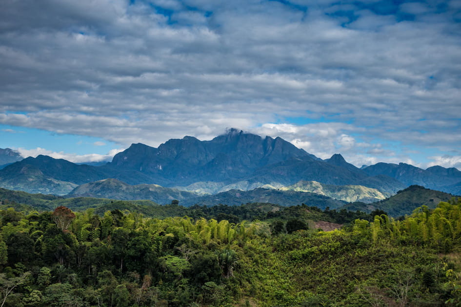 Le parc national de Marojejy