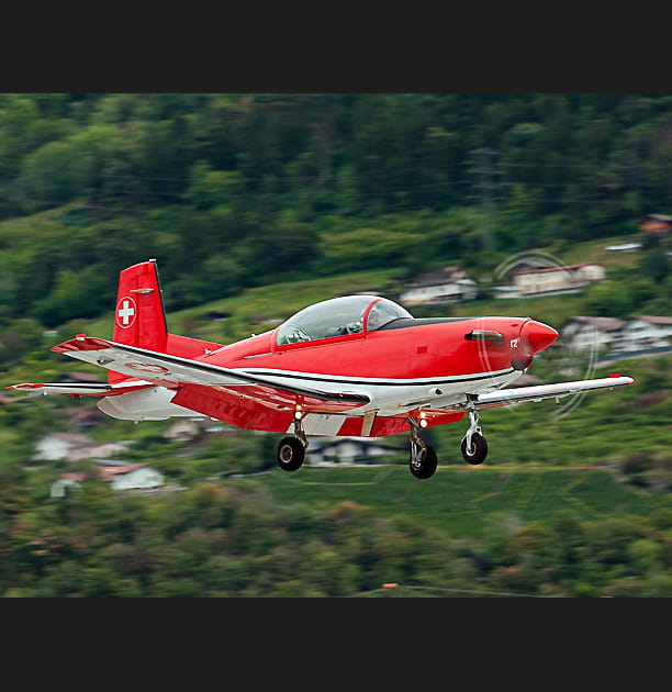 Le petit suisse turbulent