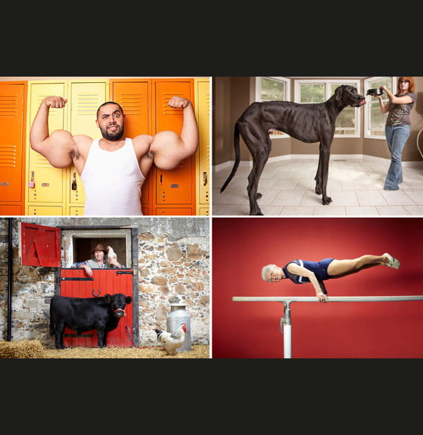 Guinness des records 2013&nbsp;: toujours plus loufoque