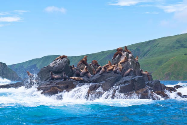 L'île volcanique de Moneron