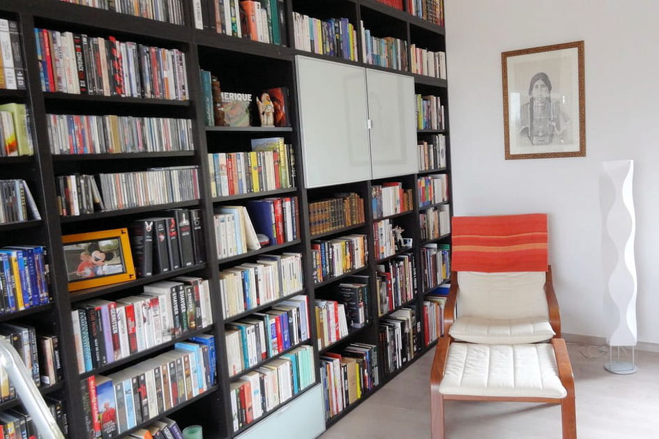 Le bureau et sa biblioth&egrave;que