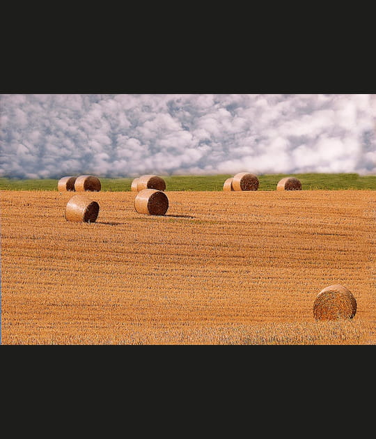 Rouleaux