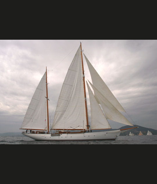 Sylvia, un nouveau