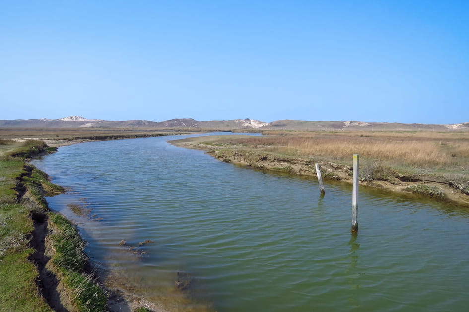 Le parc naturel du Zwin