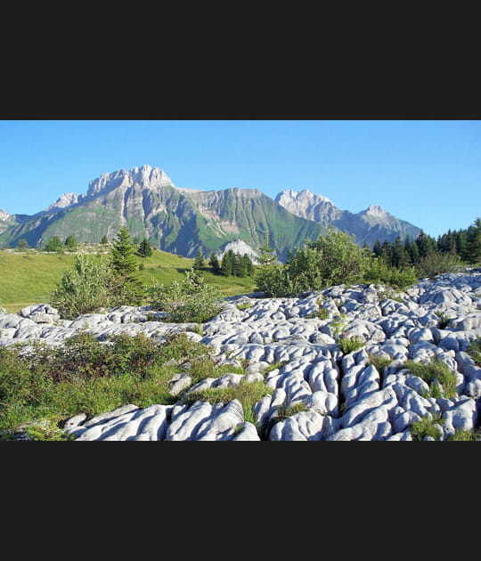 Le plateau de Cenise