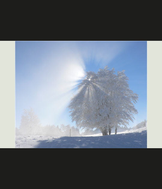 Journ&eacute;e d'hiver