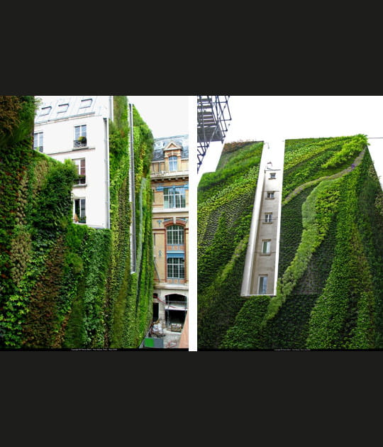 Le plus grand mur v&eacute;g&eacute;talis&eacute; de Paris