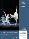 Ballet : La Belle au bois dormant