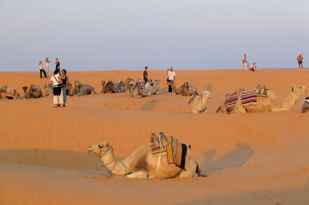 En attendant le coucher du soleil