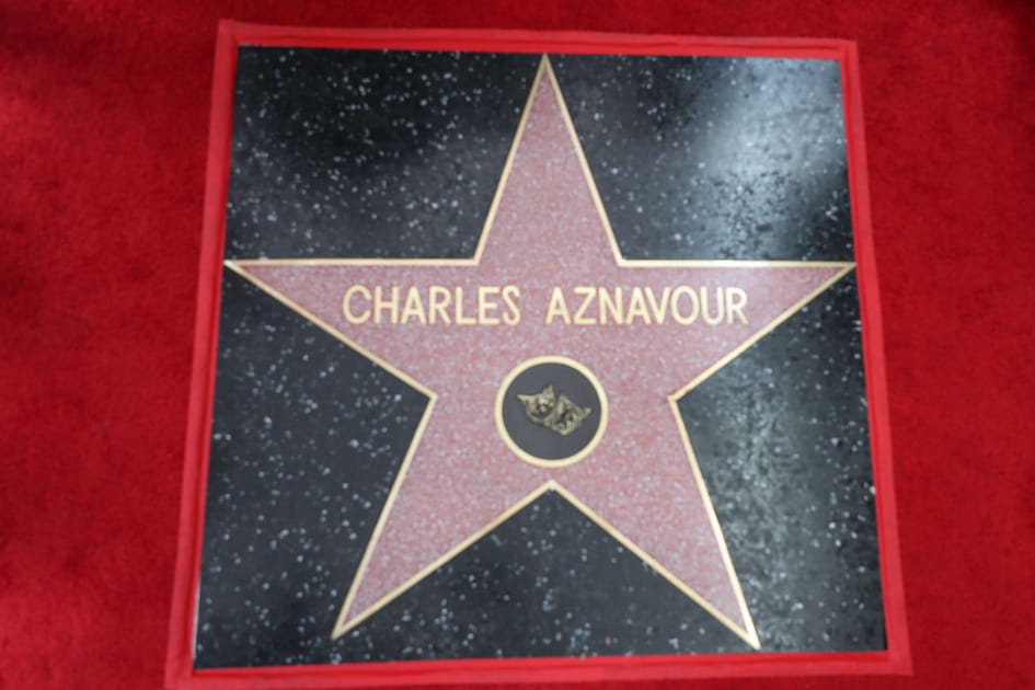 Une &eacute;toile sur le &quot;Walk of fame&quot;