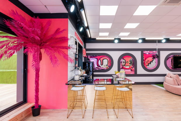 La drôle de villa des candidats de Secret Story