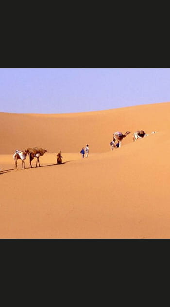 Comme une caravane dans le d&eacute;sert