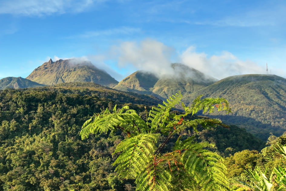 Le parc national de la Guadeloupe