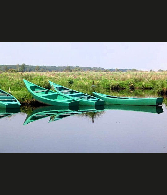 Barques vertes de Bri&egrave;re