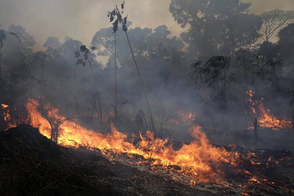 Les images des incendies en Amazonie