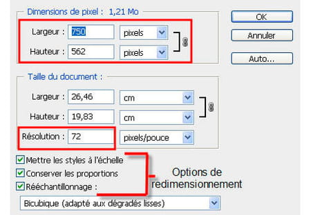 Redimensionner Une Photo Sur Photoshop