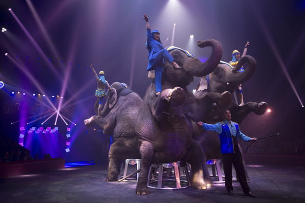 Numéro éléphantesque