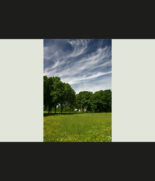 Nu&eacute;e de printemps