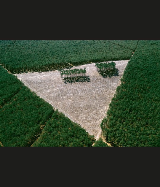 Triangle de Hongrie