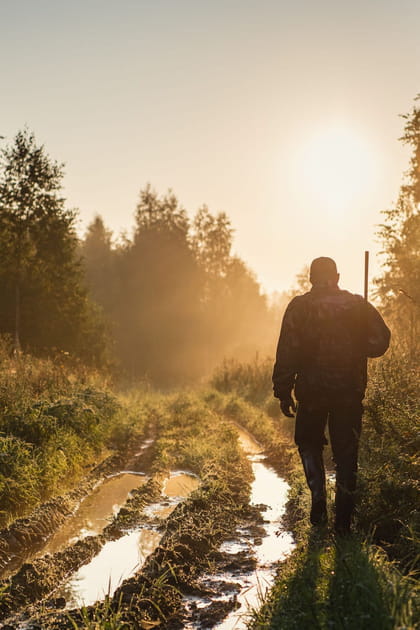Quels types de chasse ont caus&eacute; le plus d'accidents cette saison&nbsp;?