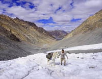 Himalaya, la marche au-dessus