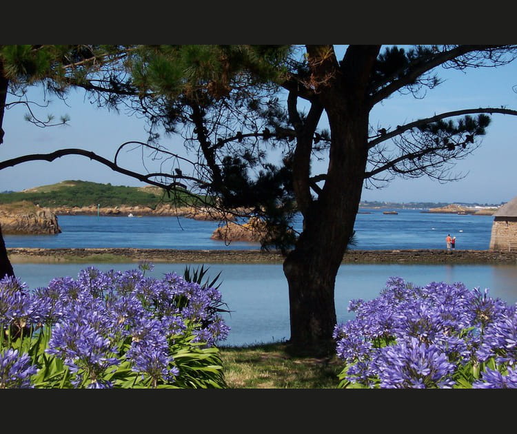 L'&icirc;le de Br&eacute;hat