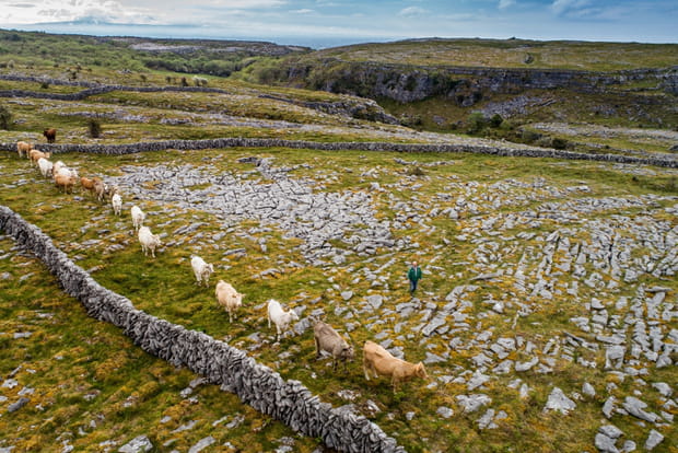 Le Parc national du Burren, un paysage karstique unique en Europe