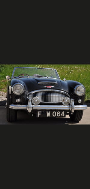 Austin Healey 3000