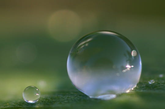 Les Gouttes D Eau Merveilles Naturelles
