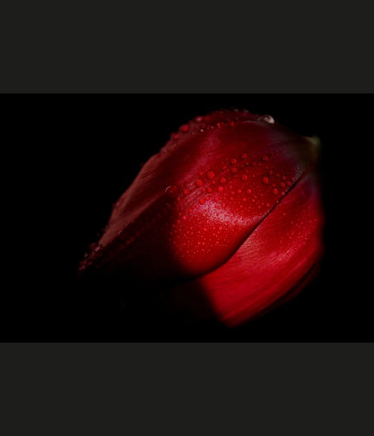 Ombre et lumi&egrave;re