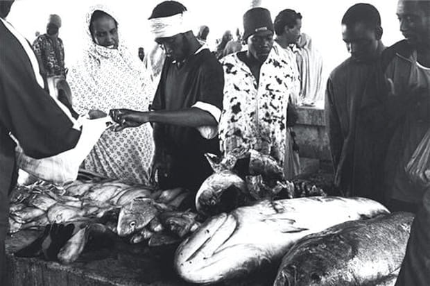 Poissonnerie mauritanienne