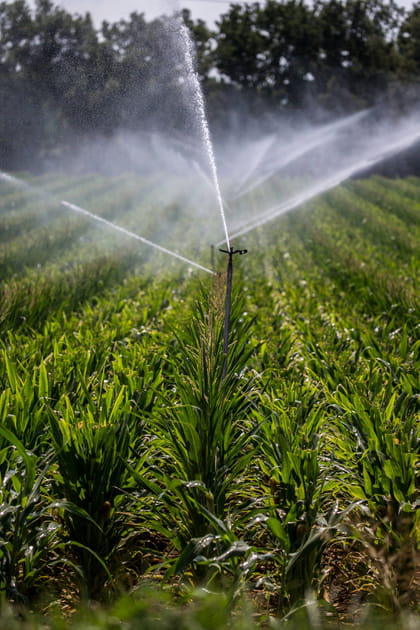 O&ugrave; en est-on de la pratique de l'irrigation en France&nbsp;?
