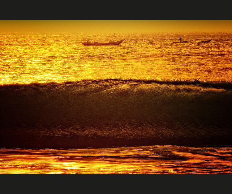 Vague d'or