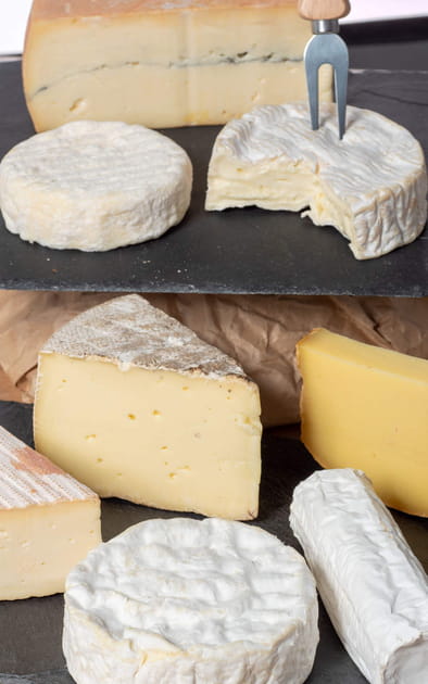 La Listeria dans les fromages au lait cru