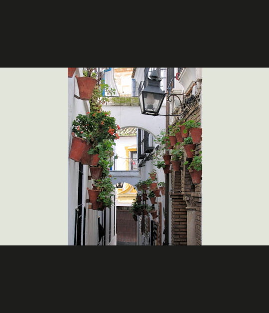 Les ruelles fleuries